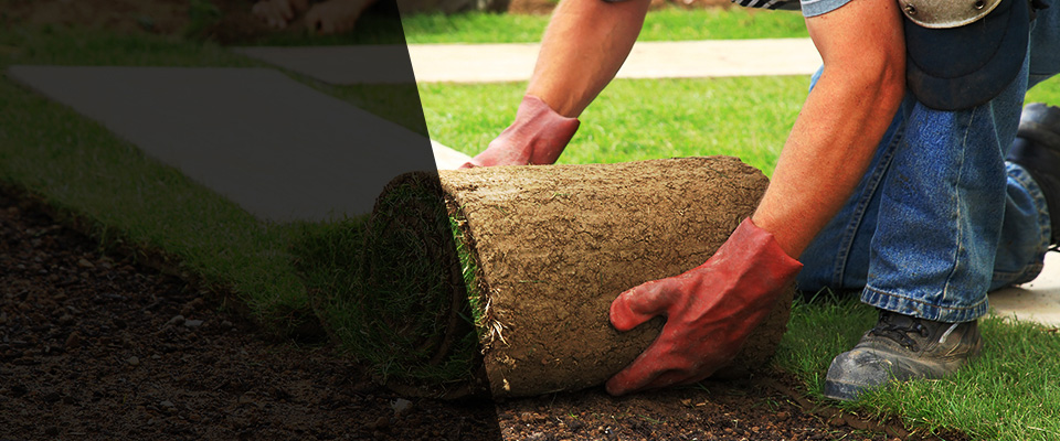 Weston Landscapers